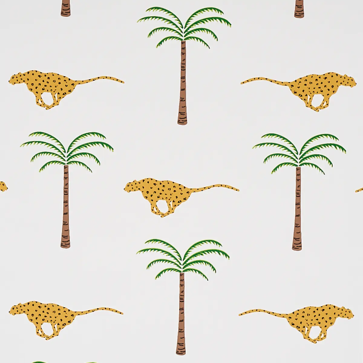 A Wild Desert Dream_ SAFARI