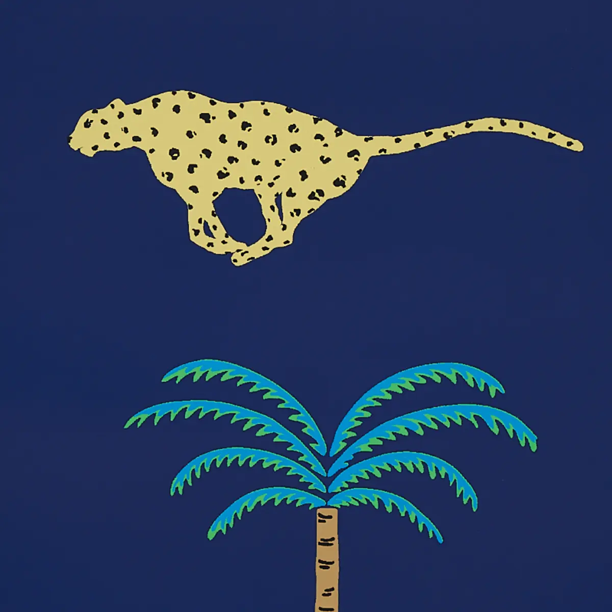 A Wild Desert Dream_ MIDNIGHT