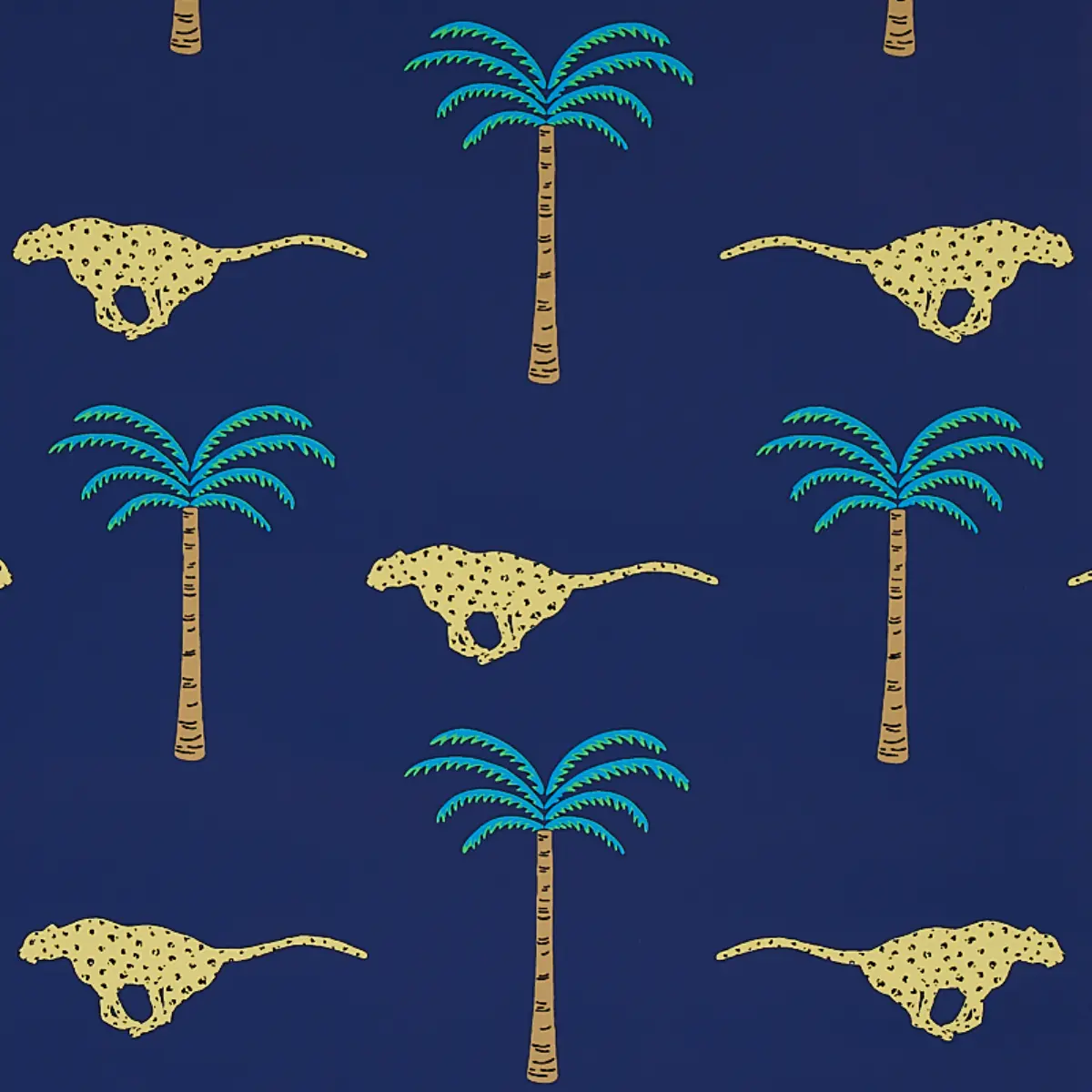 A Wild Desert Dream_ MIDNIGHT