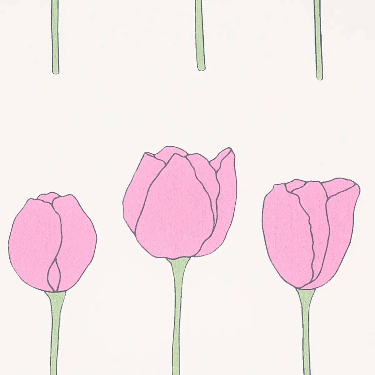 EDIE_ PINK LADIES