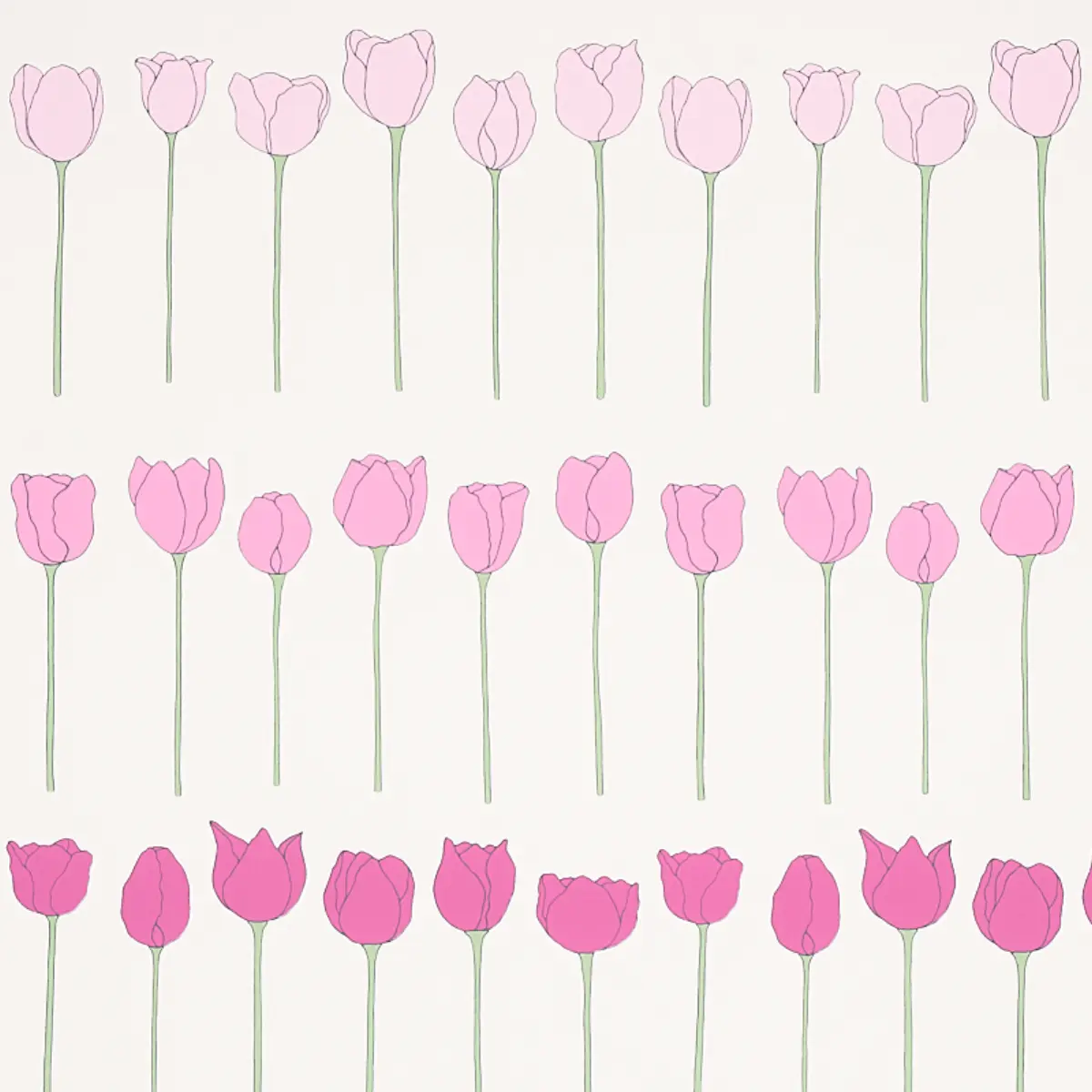EDIE_ PINK LADIES