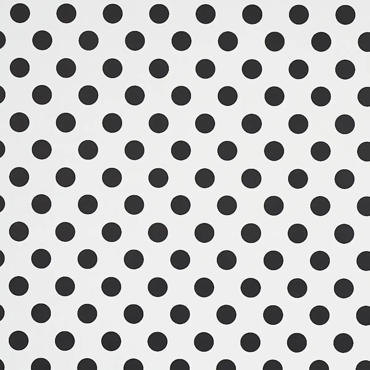 LADY_ BLACK & WHITE