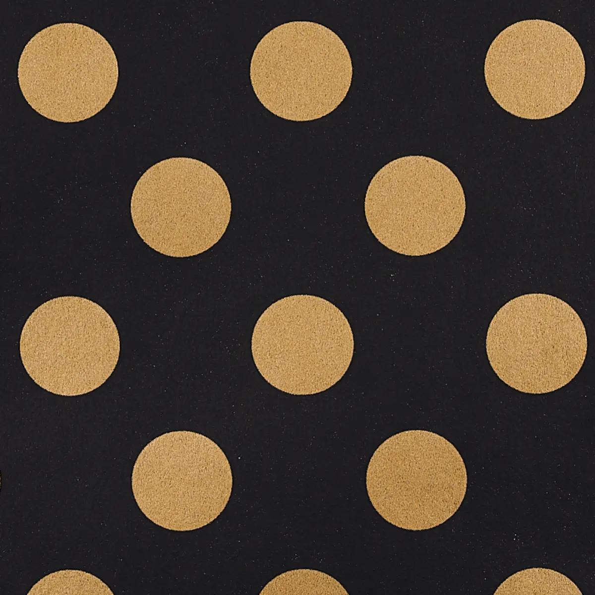 LADY_ BLACK & GOLD