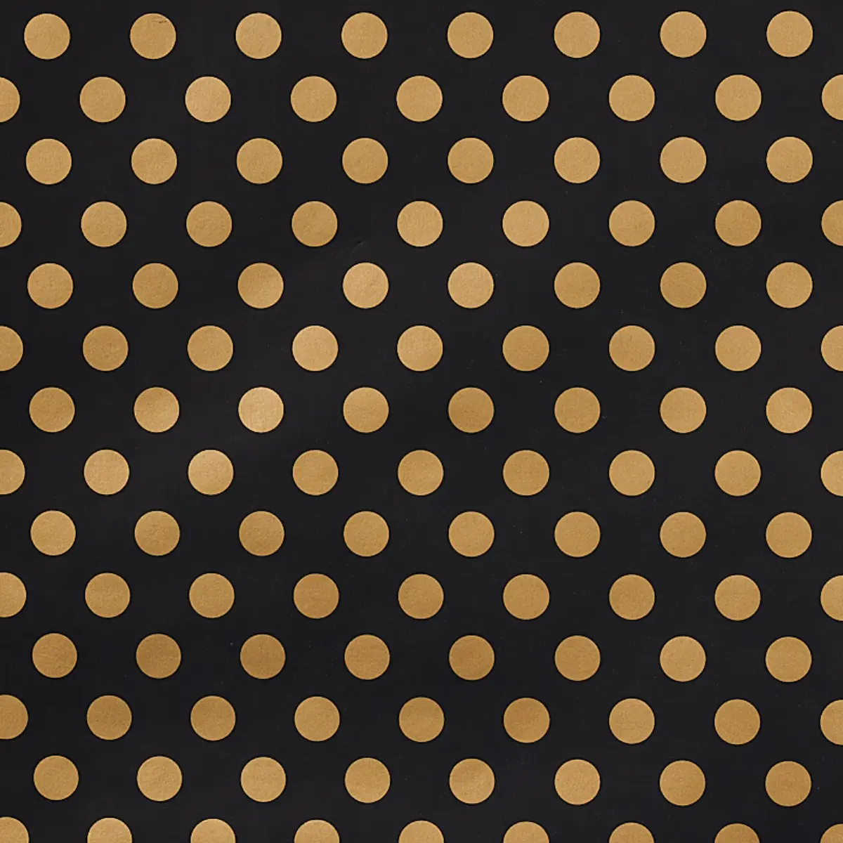 LADY_ BLACK & GOLD