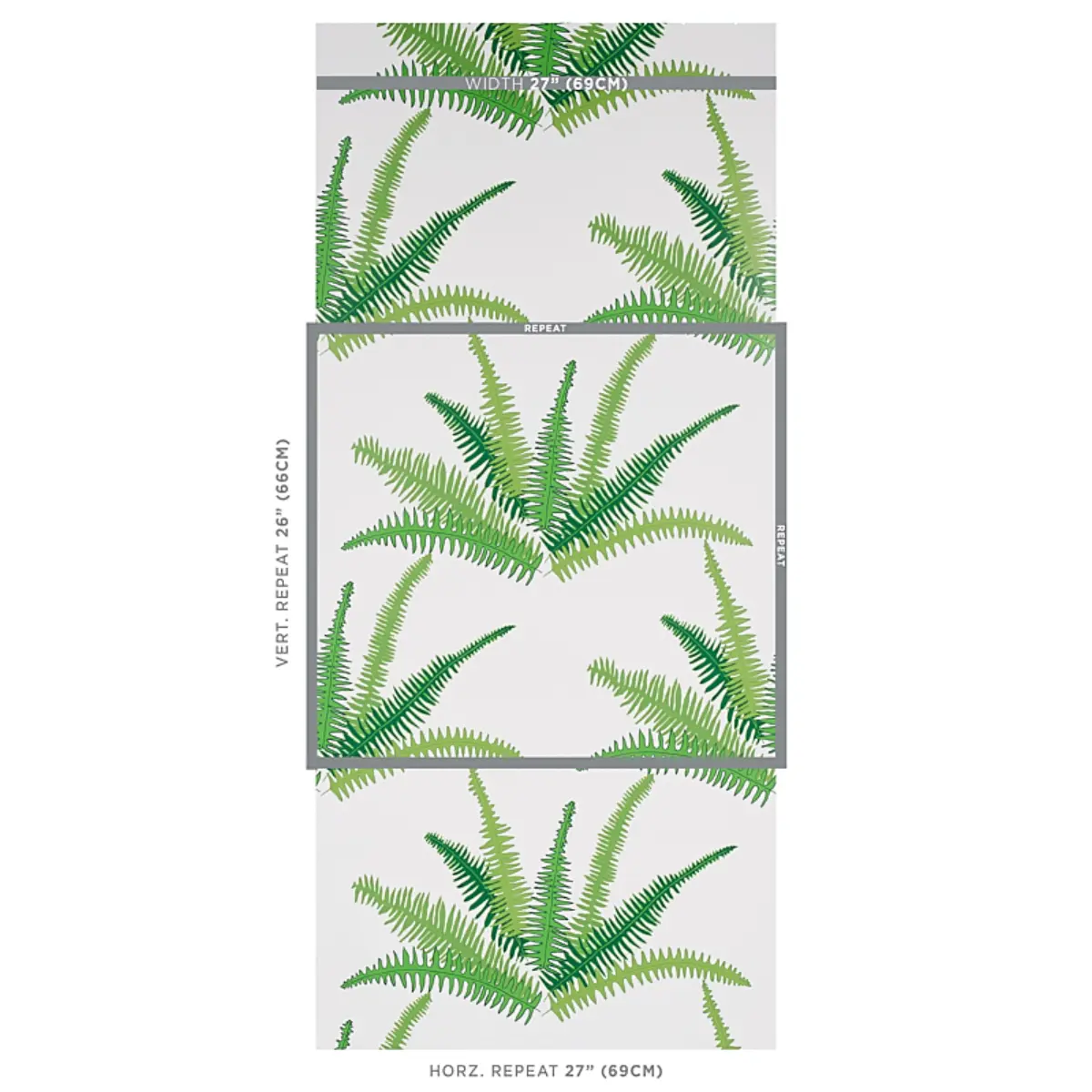 CANYON FERNS_ JUNGLE