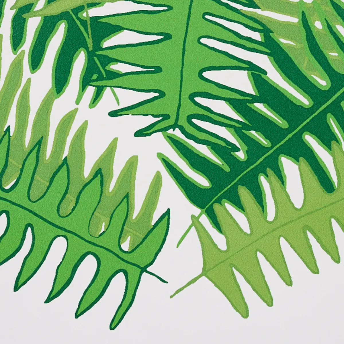 CANYON FERNS_ JUNGLE