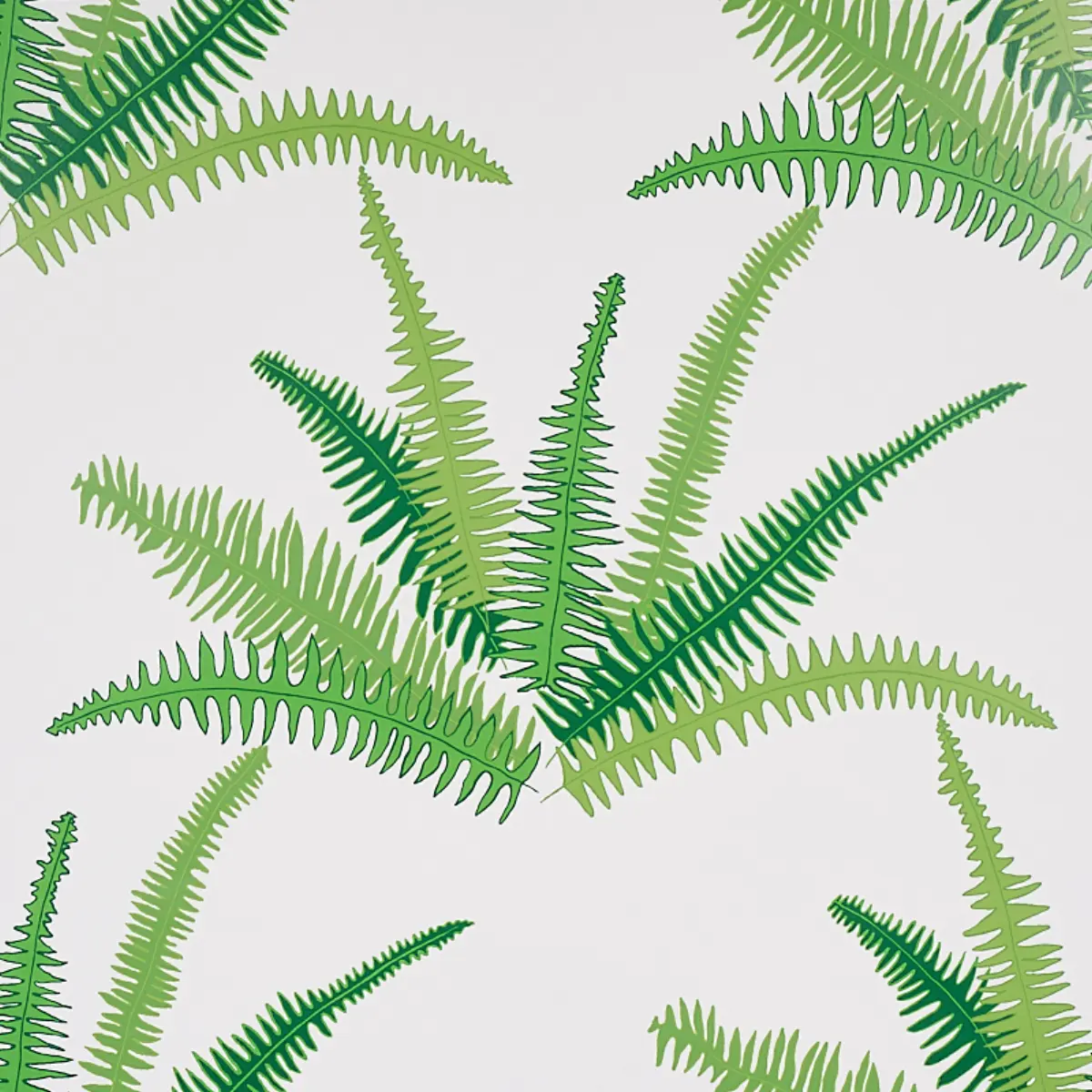 CANYON FERNS_ JUNGLE