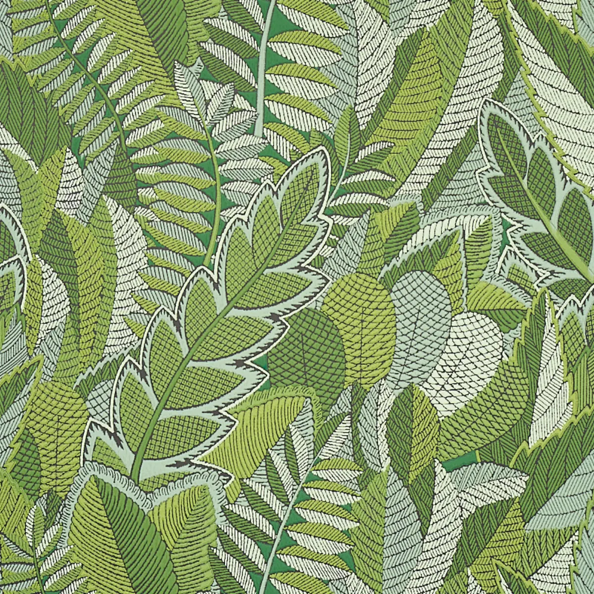 JAPURA FOREST_ GREEN