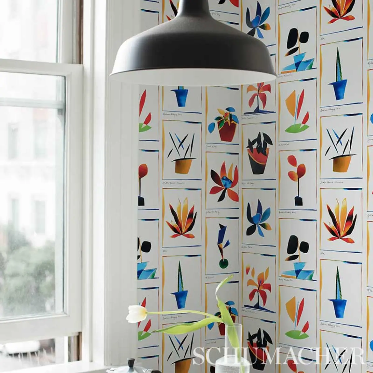 BOTANICALS_ SPECTRUM MULTI