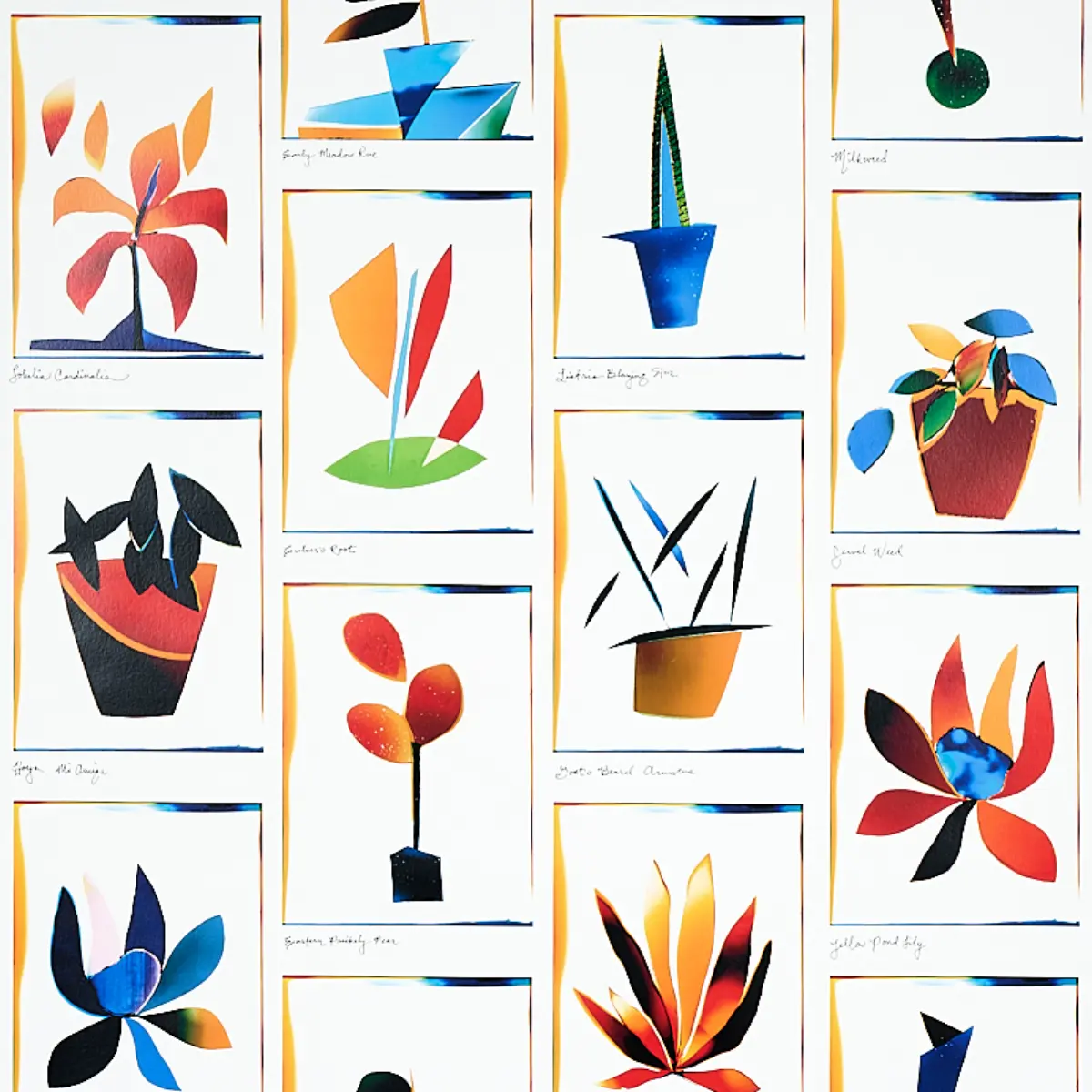 BOTANICALS_ SPECTRUM MULTI
