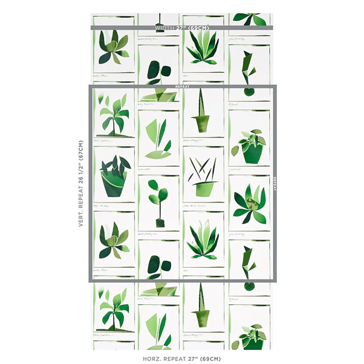 BOTANICALS_ GREENHOUSE