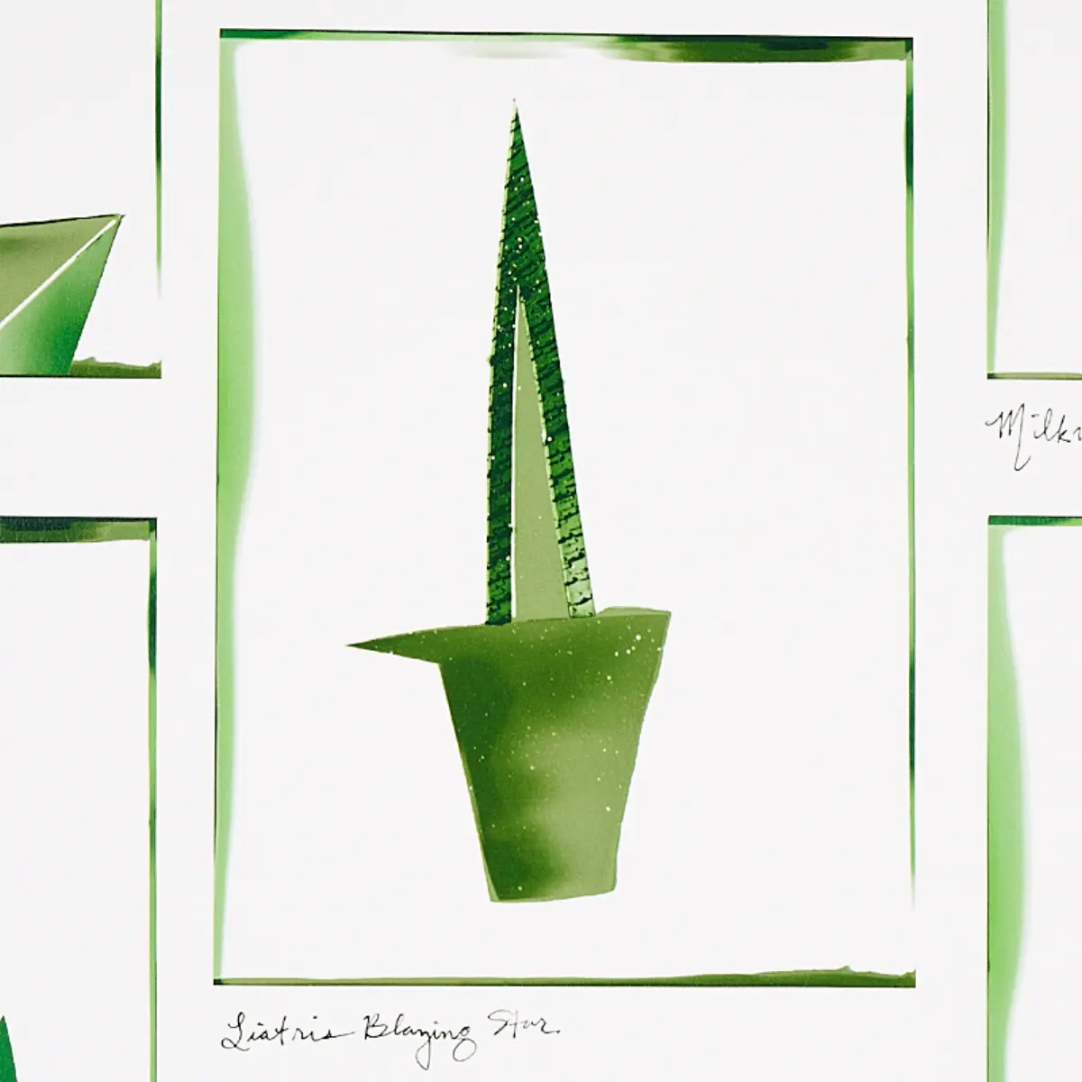 BOTANICALS_ GREENHOUSE