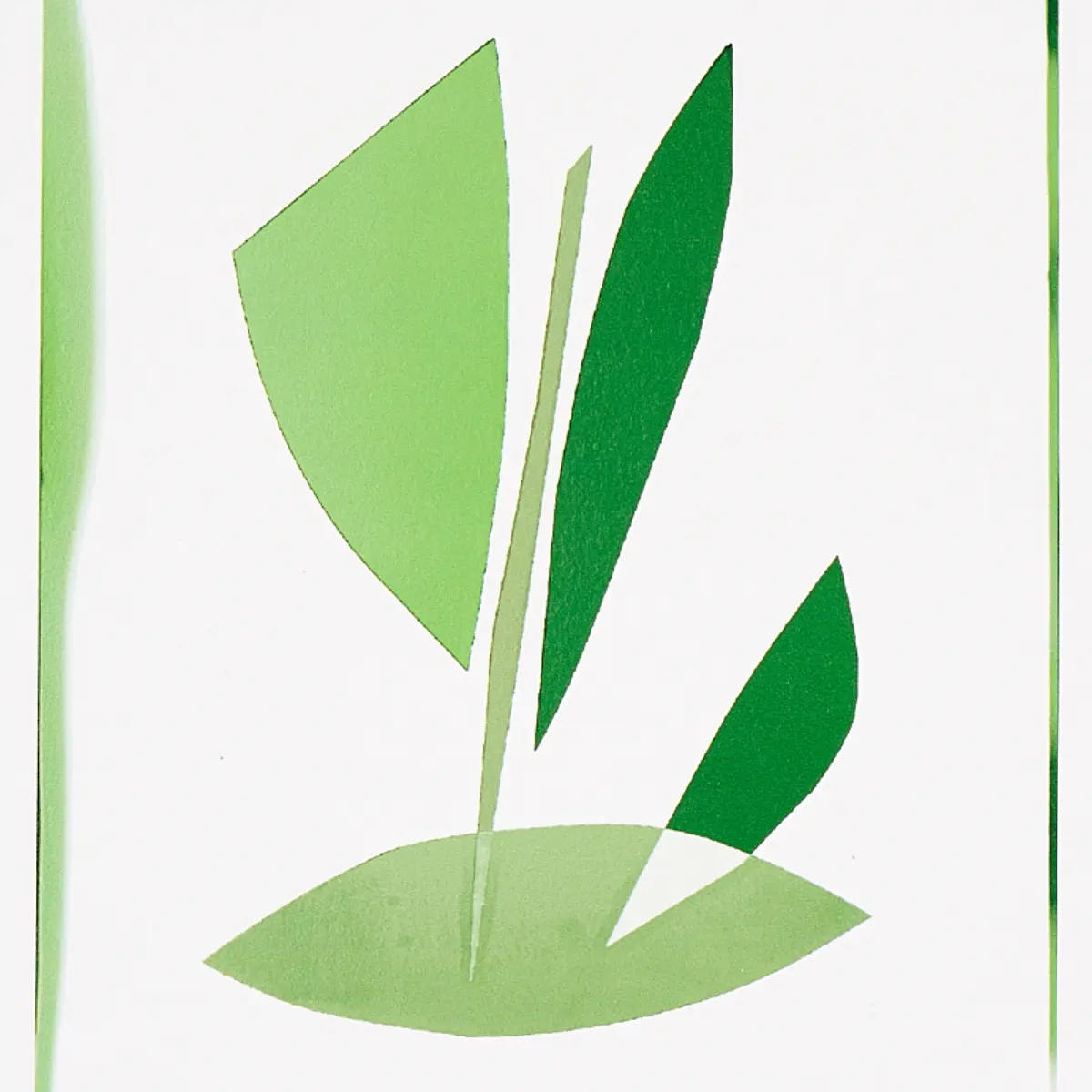 BOTANICALS_ GREENHOUSE