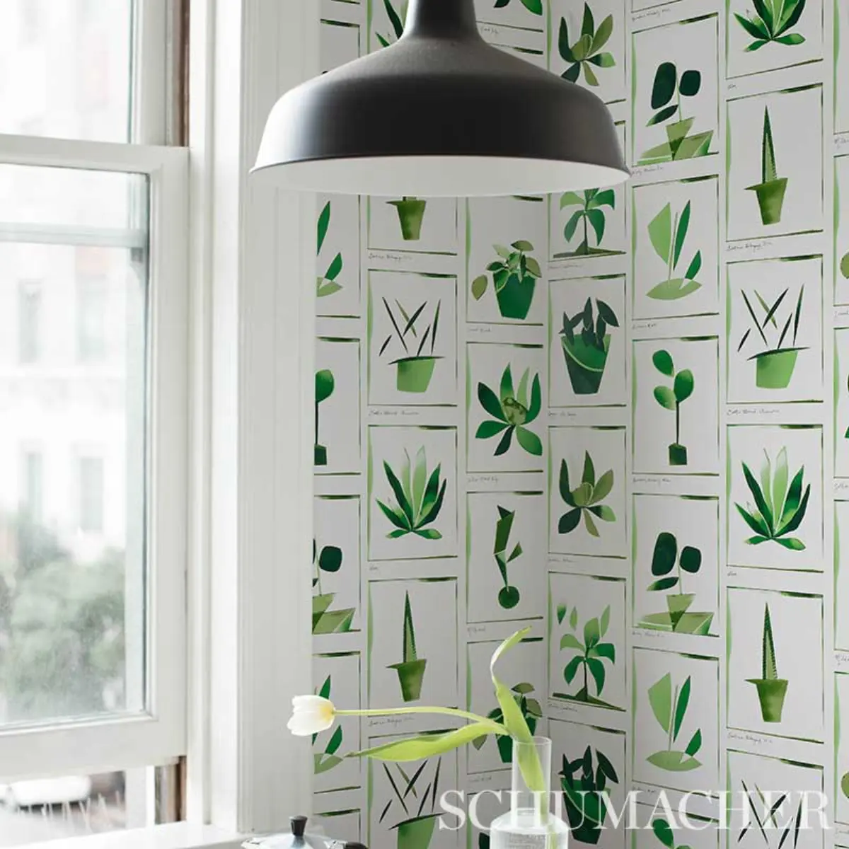 BOTANICALS_ GREENHOUSE