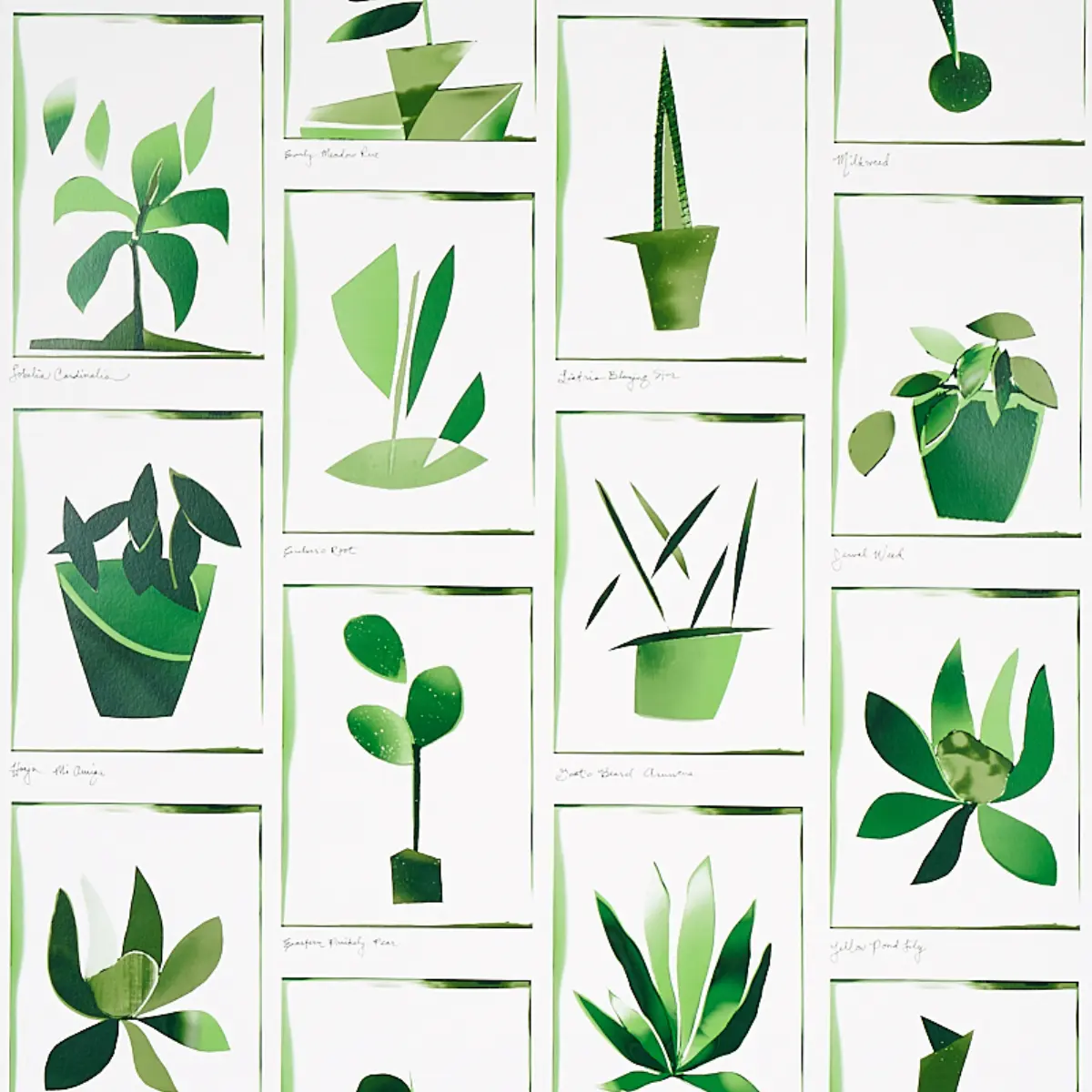 BOTANICALS_ GREENHOUSE