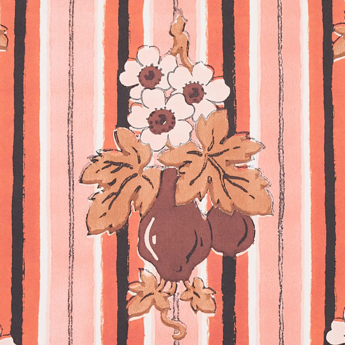 TURNIP_ CARNATION