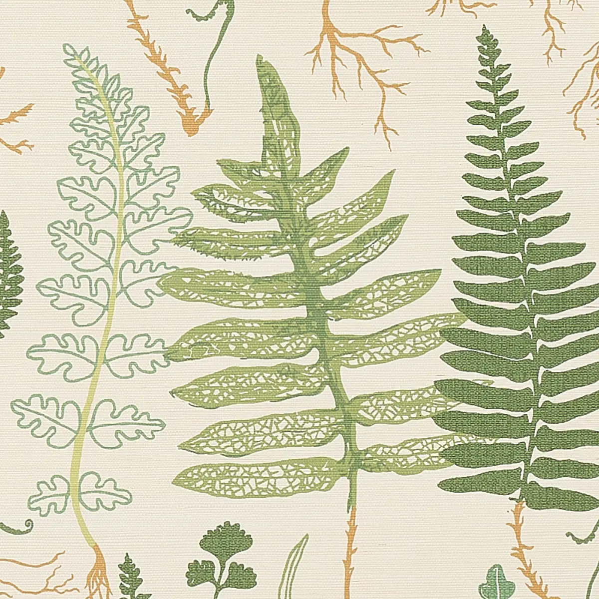 HALCOTT SISAL_ FOREST