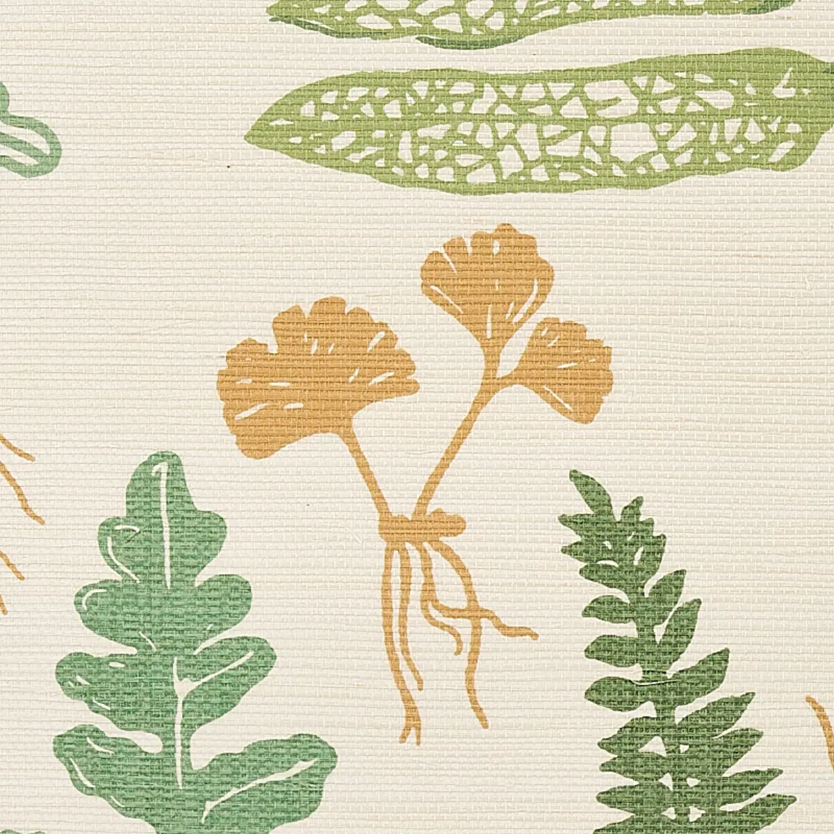 HALCOTT SISAL_ FOREST