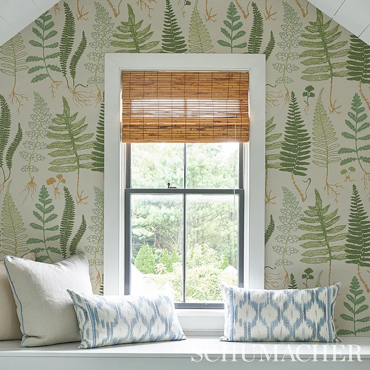 HALCOTT SISAL_ FOREST