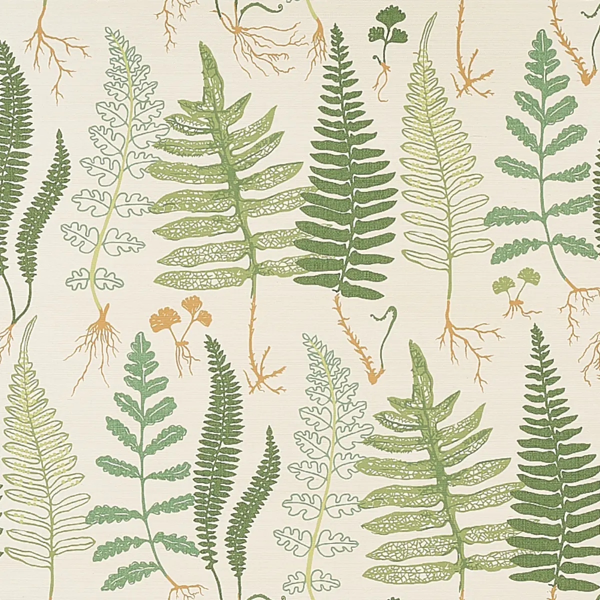 HALCOTT SISAL_ FOREST