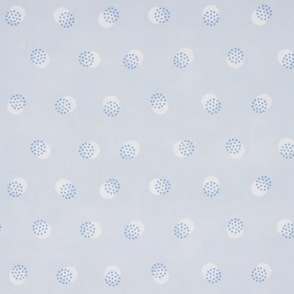 TAYLOR_ BLUES