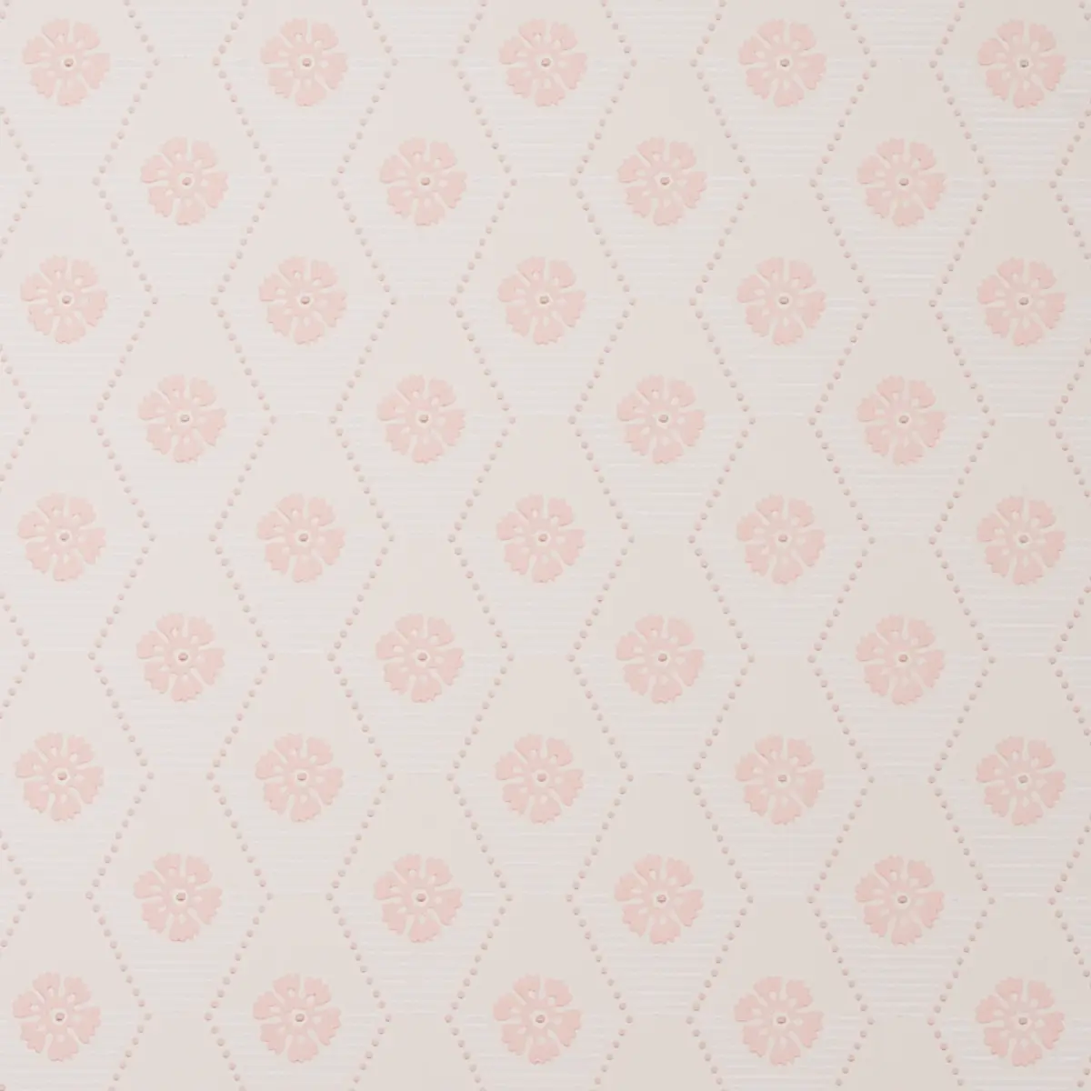HIVE BLOOM_ BLUSH