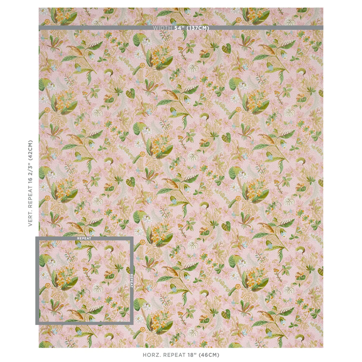 BLACKWELL_ BLUSH