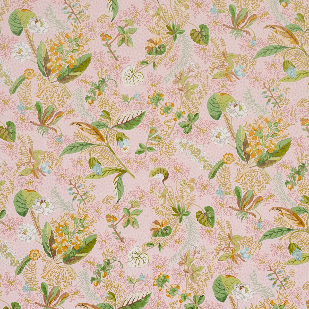 BLACKWELL_ BLUSH