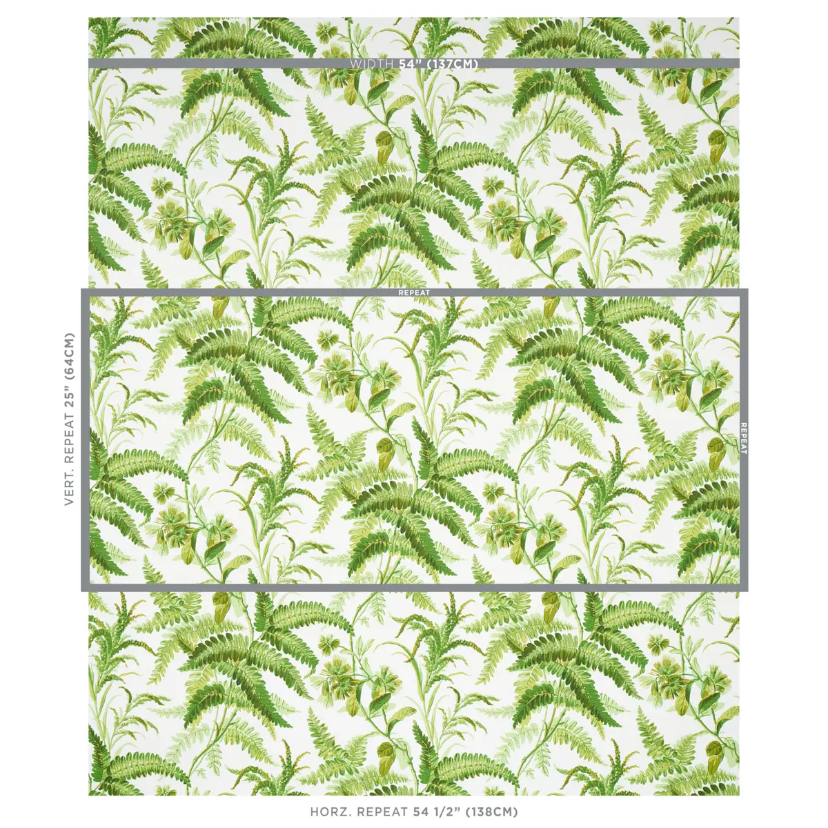 MYERS FERN_ TROPICAL