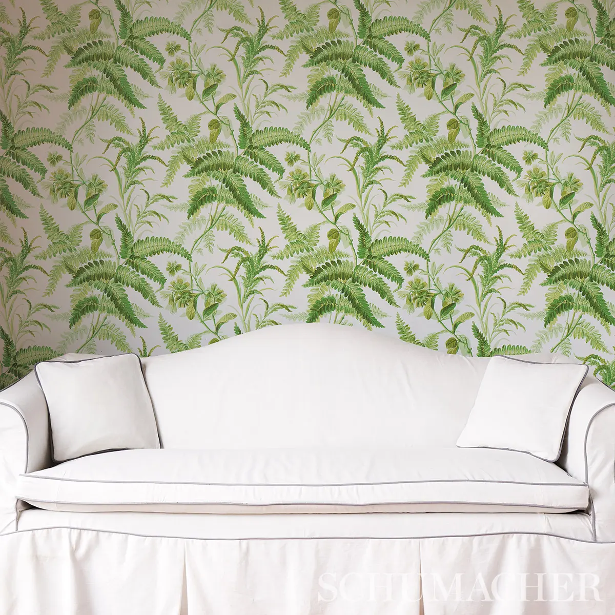 MYERS FERN_ TROPICAL
