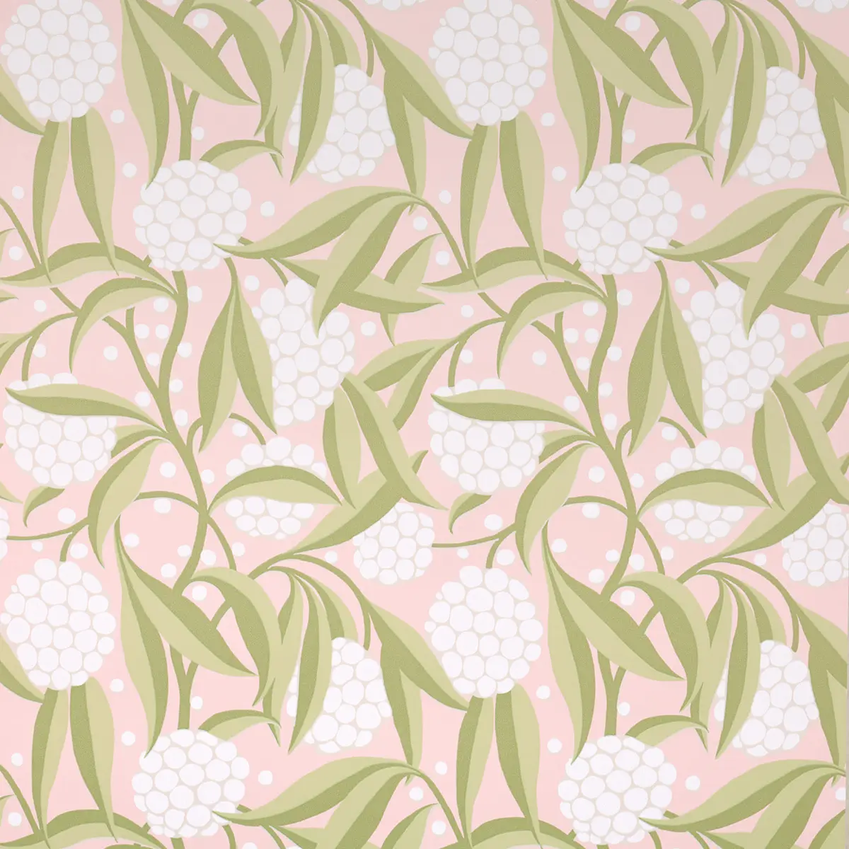 RUBUS_ BLUSH