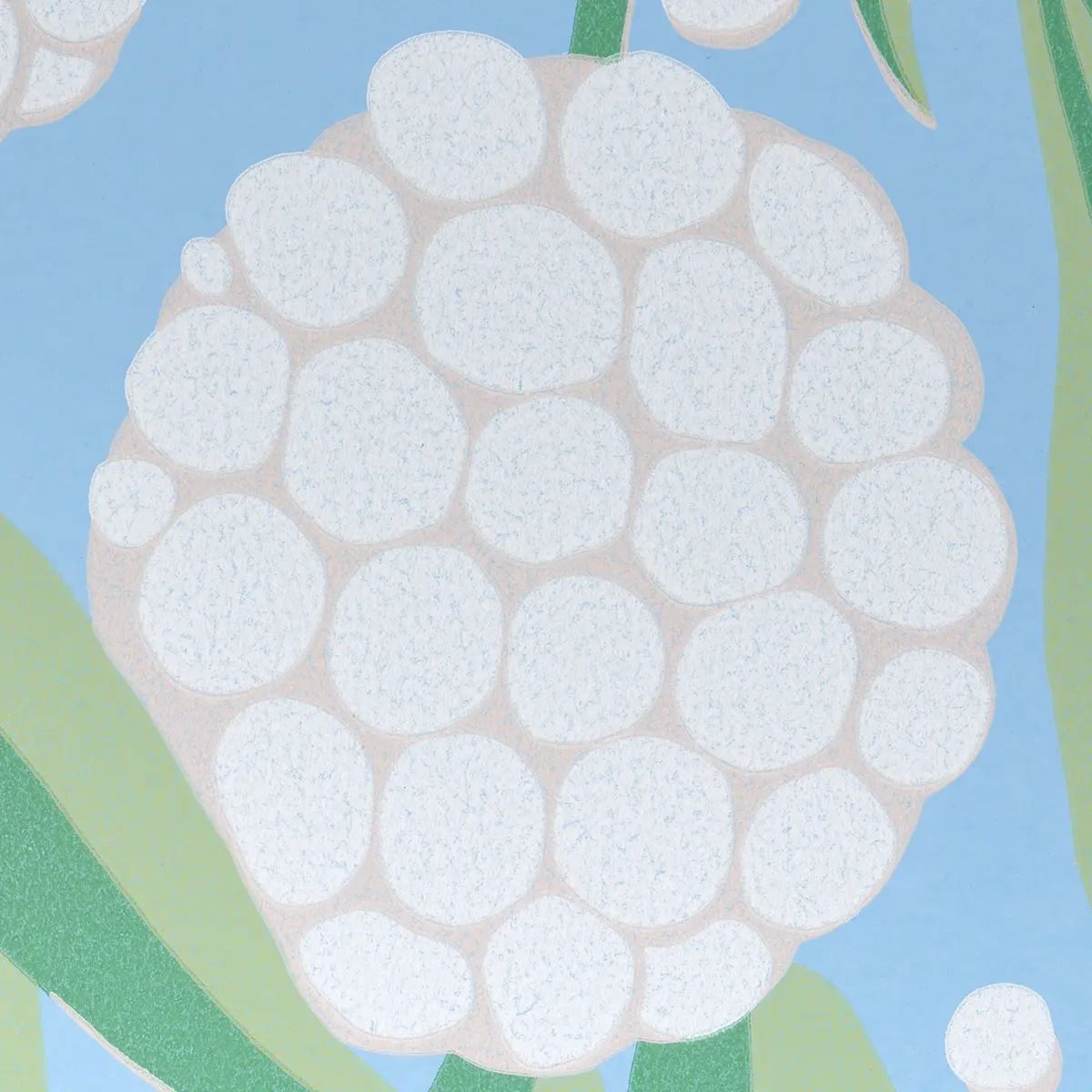 RUBUS_ DELFT