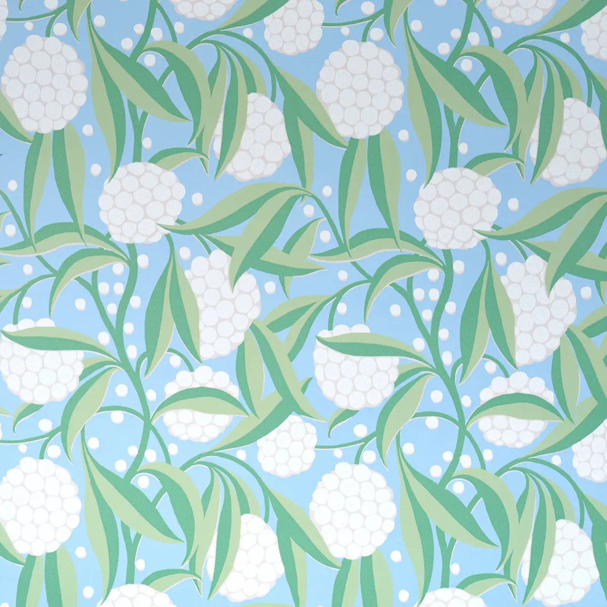 RUBUS_ DELFT