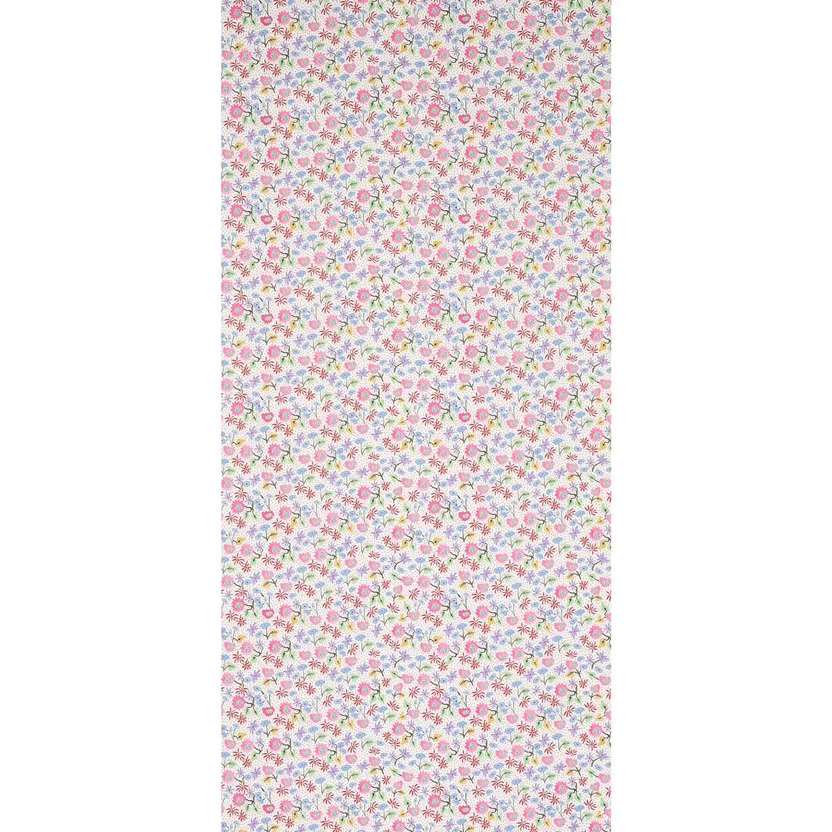 CALICO_ SPREZZATURA