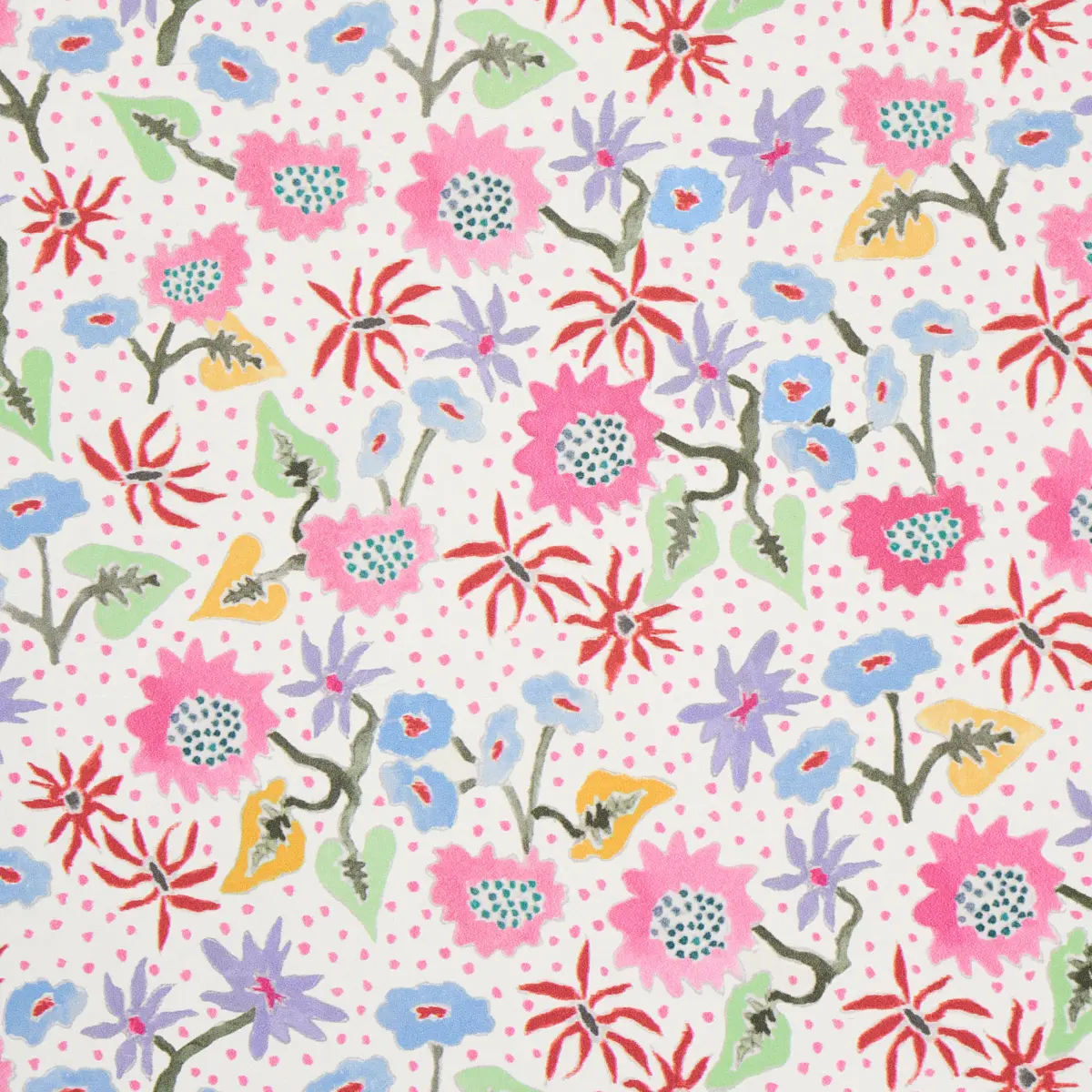 CALICO_ SPREZZATURA
