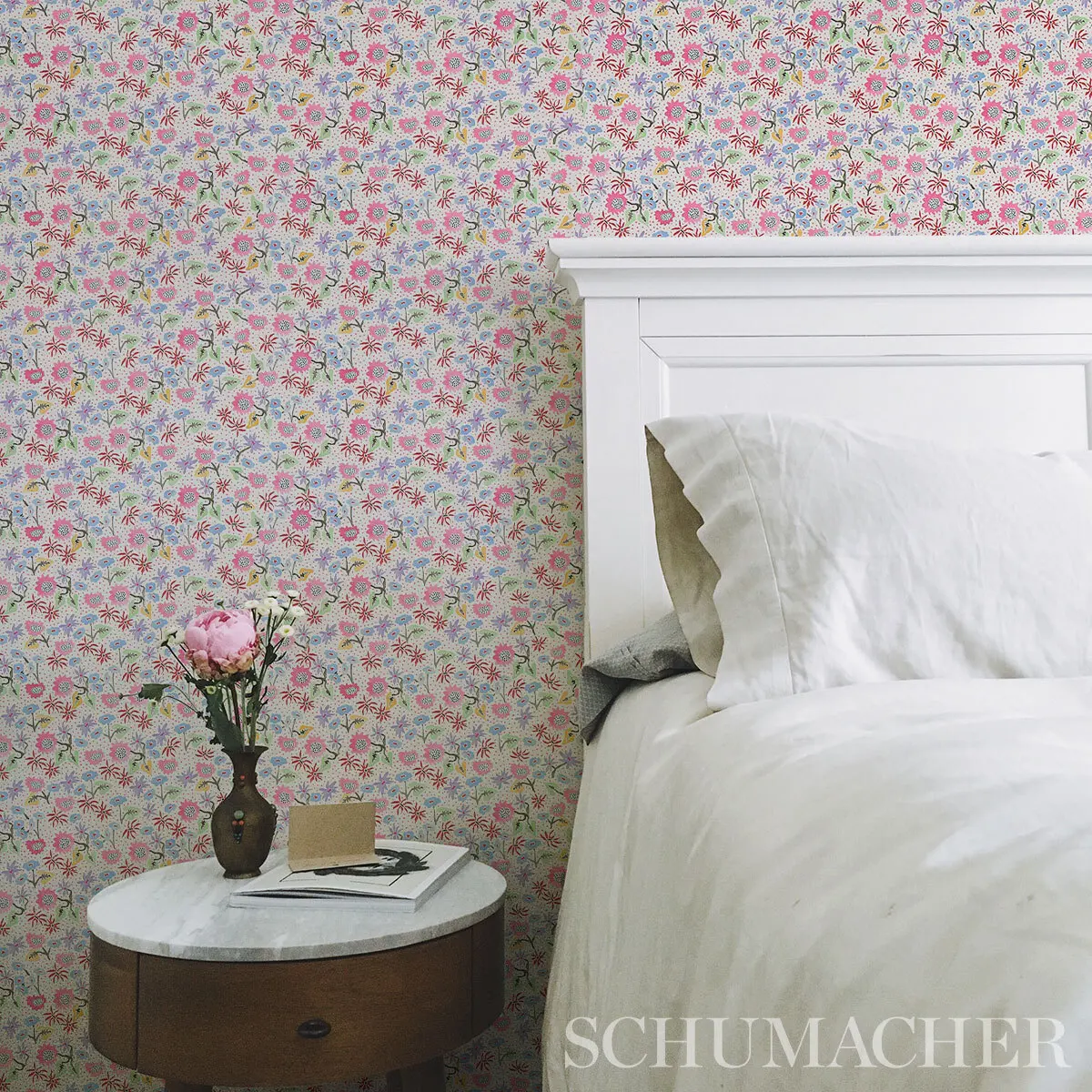 CALICO_ SPREZZATURA