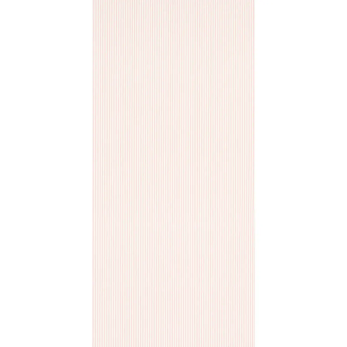 EDWIN STRIPE NARROW_ PETAL