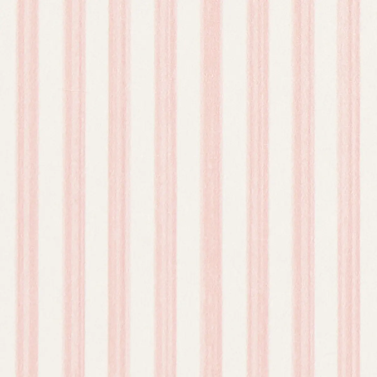 EDWIN STRIPE NARROW_ PETAL