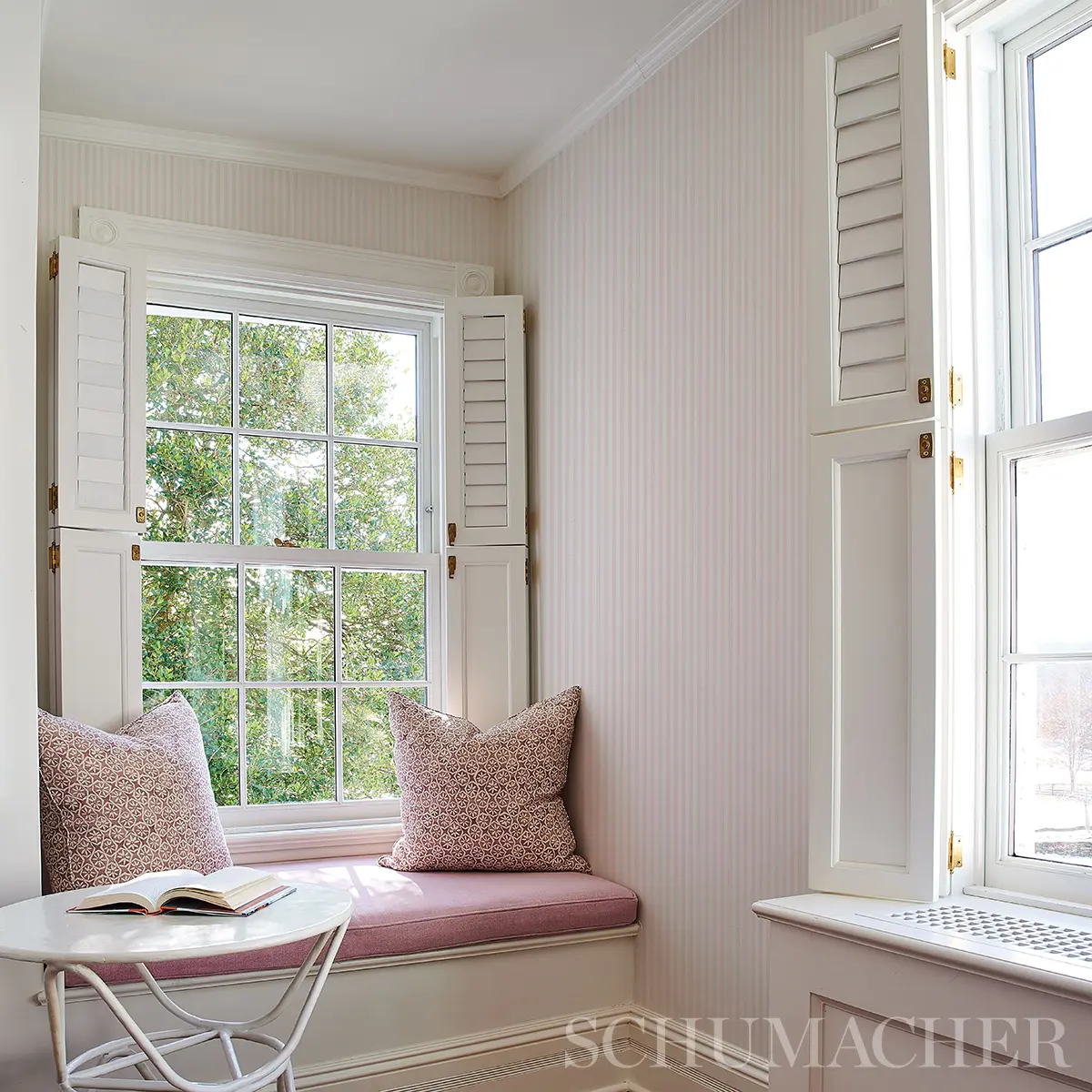 EDWIN STRIPE NARROW_ PETAL