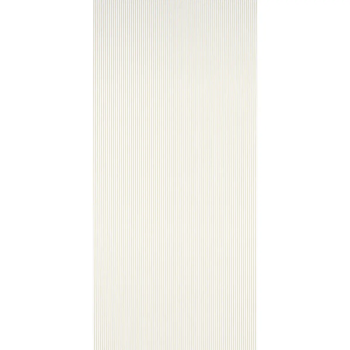 EDWIN STRIPE NARROW_ STRAW