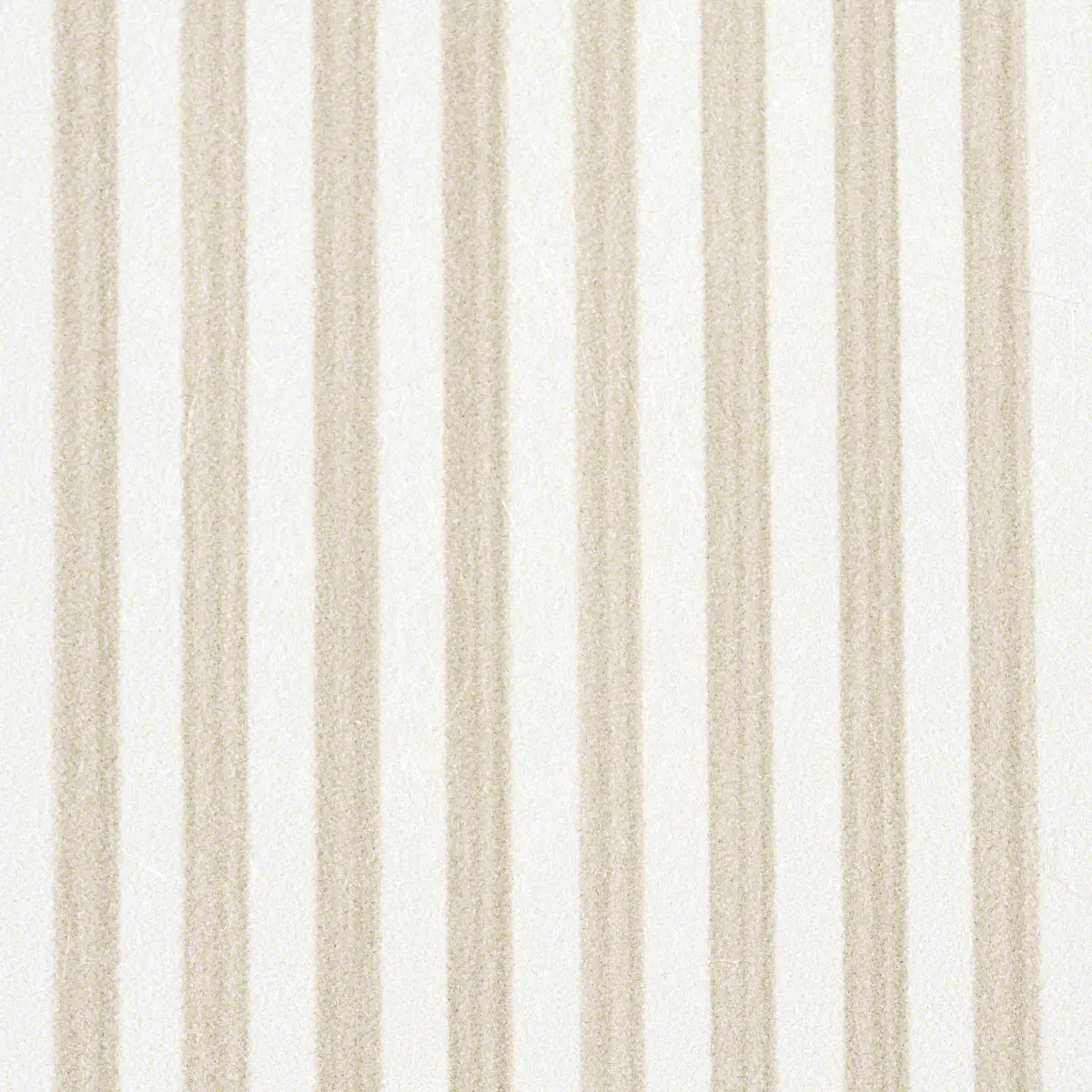 EDWIN STRIPE NARROW_ STRAW