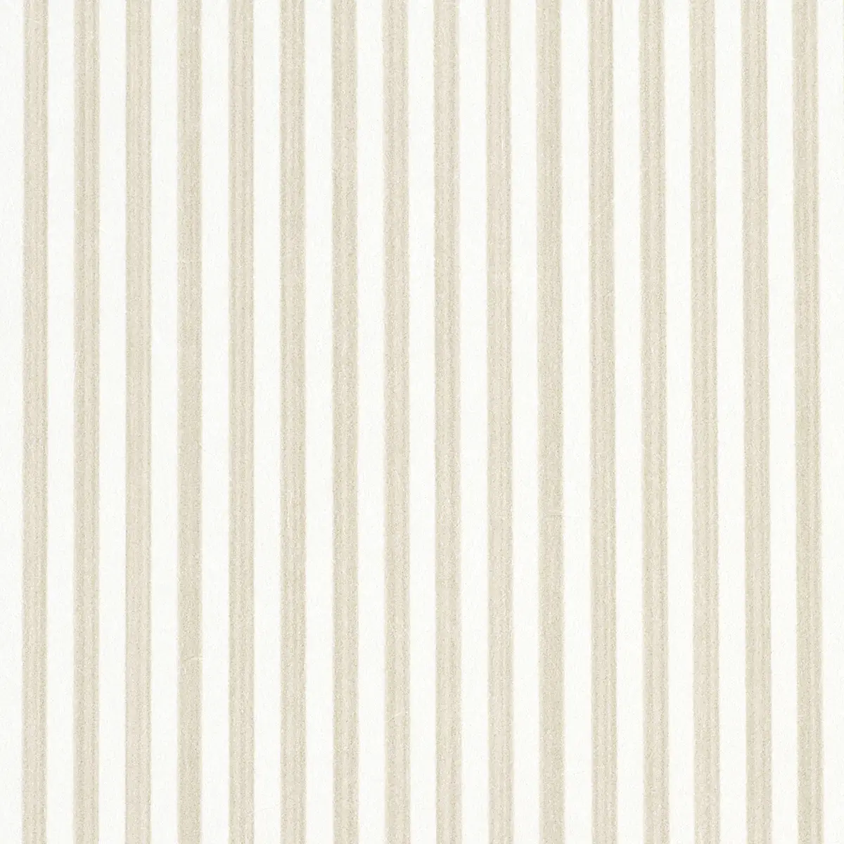 EDWIN STRIPE NARROW_ STRAW
