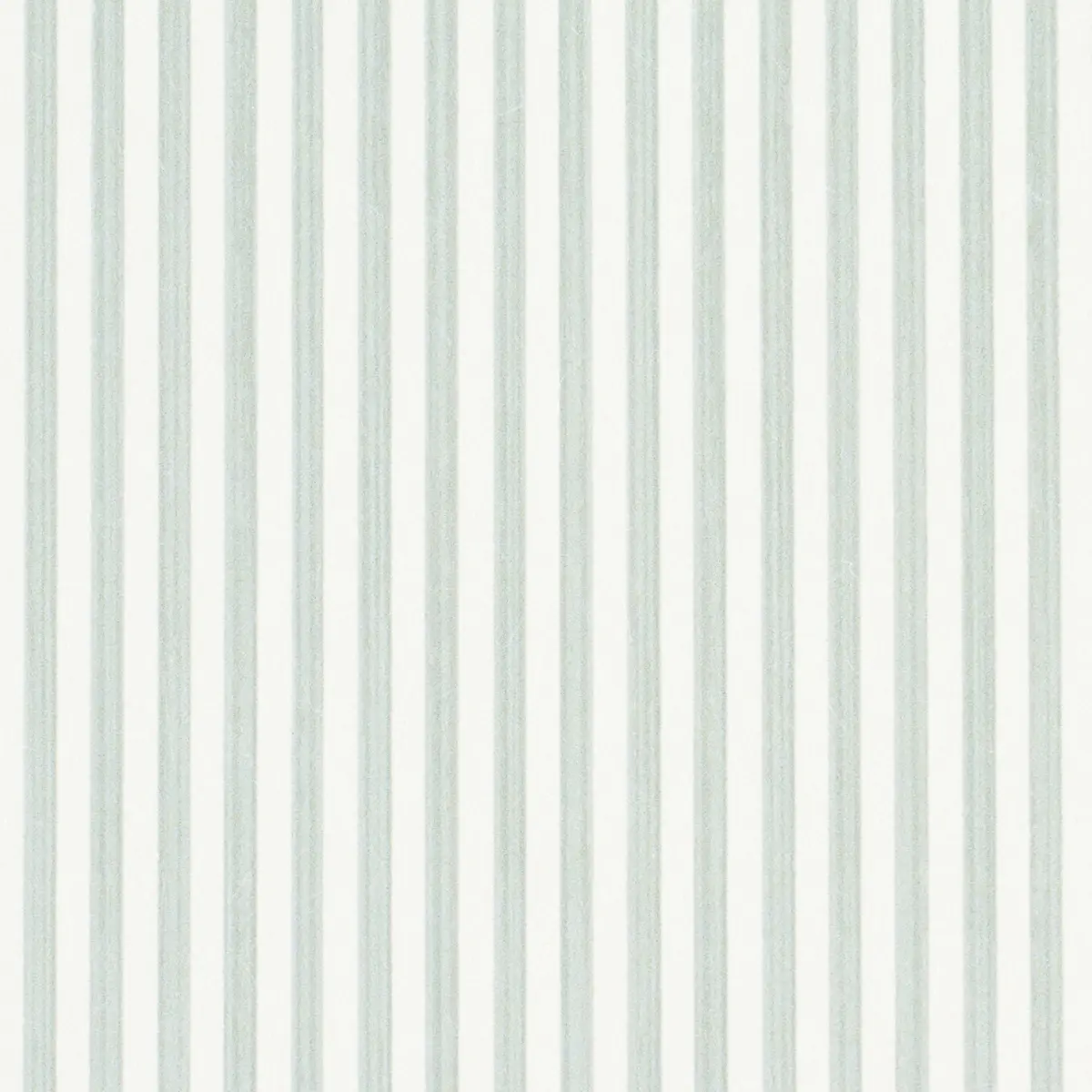 EDWIN STRIPE NARROW_ EUCALYPTUS