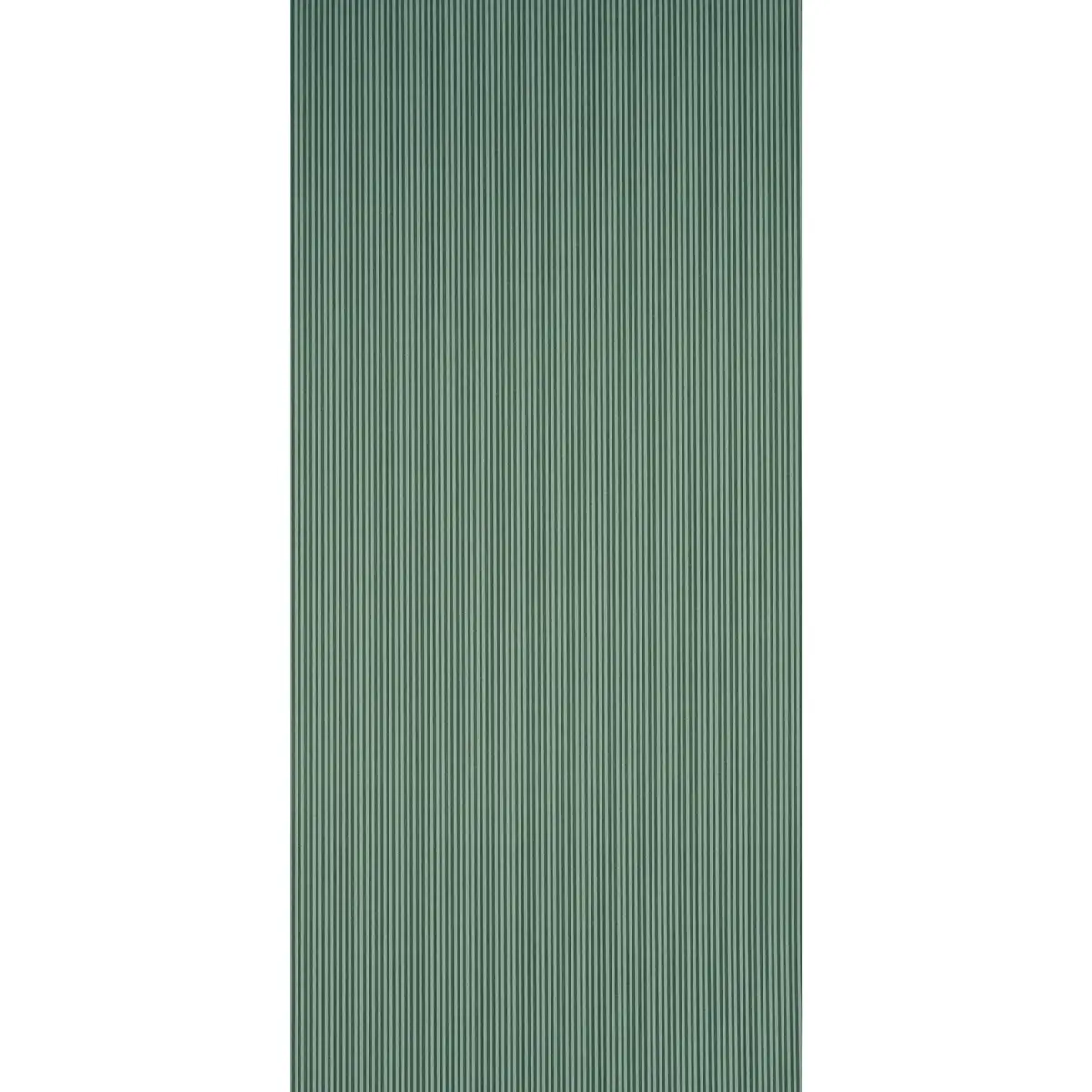 EDWIN STRIPE NARROW_ DARK GREEN