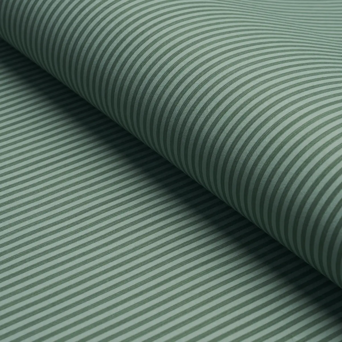 EDWIN STRIPE NARROW_ DARK GREEN