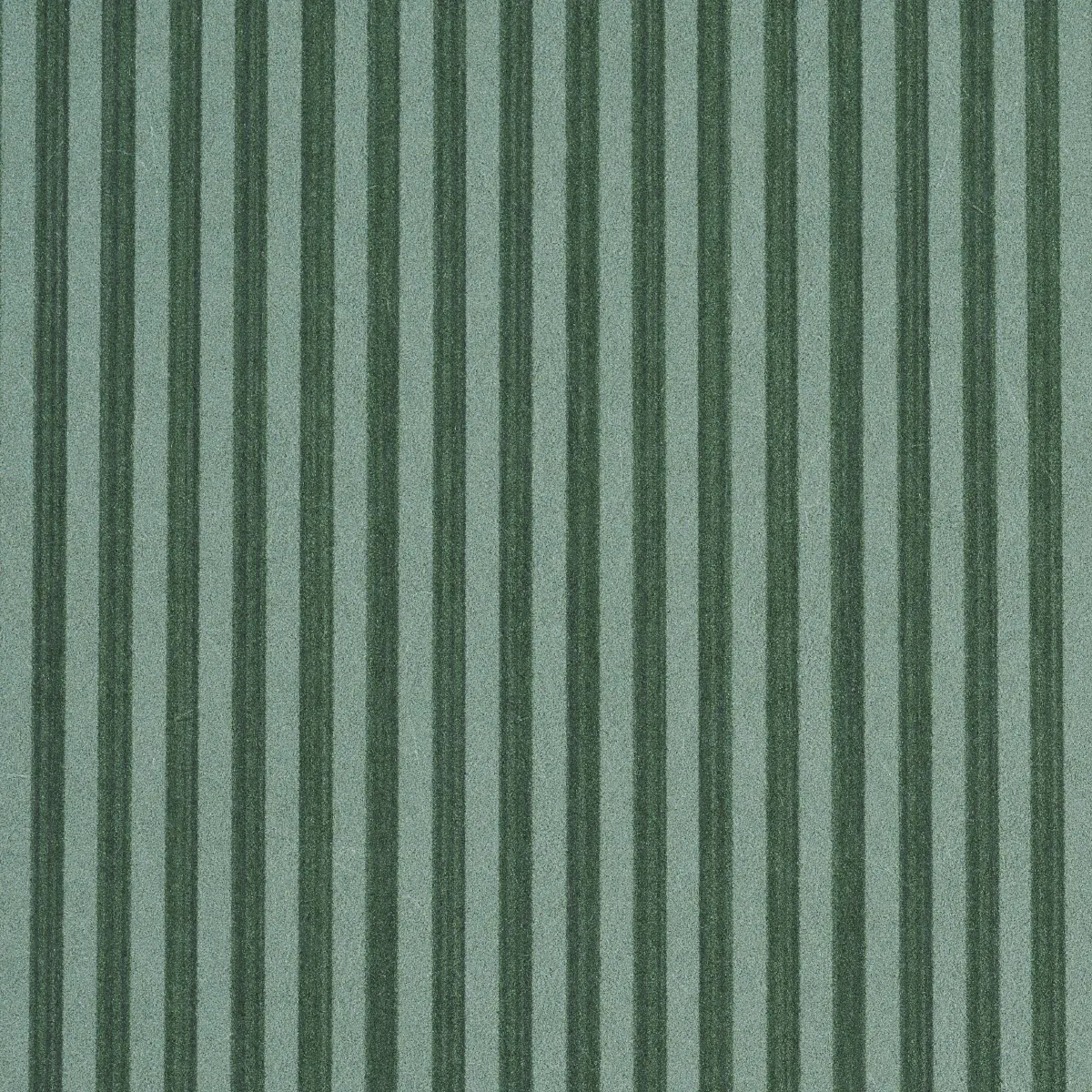 EDWIN STRIPE NARROW_ DARK GREEN