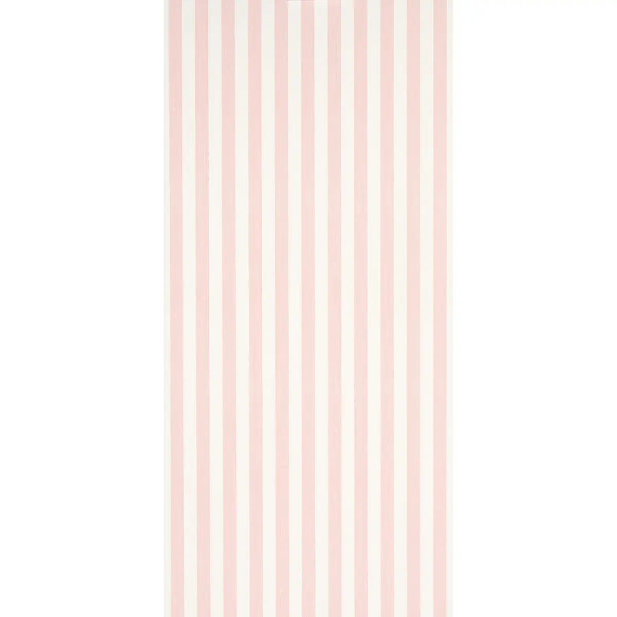 EDWIN STRIPE MEDIUM_ PETAL