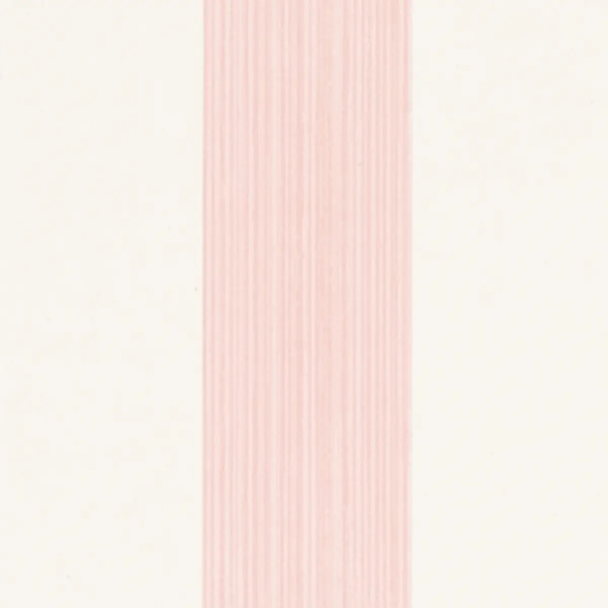 EDWIN STRIPE MEDIUM_ PETAL