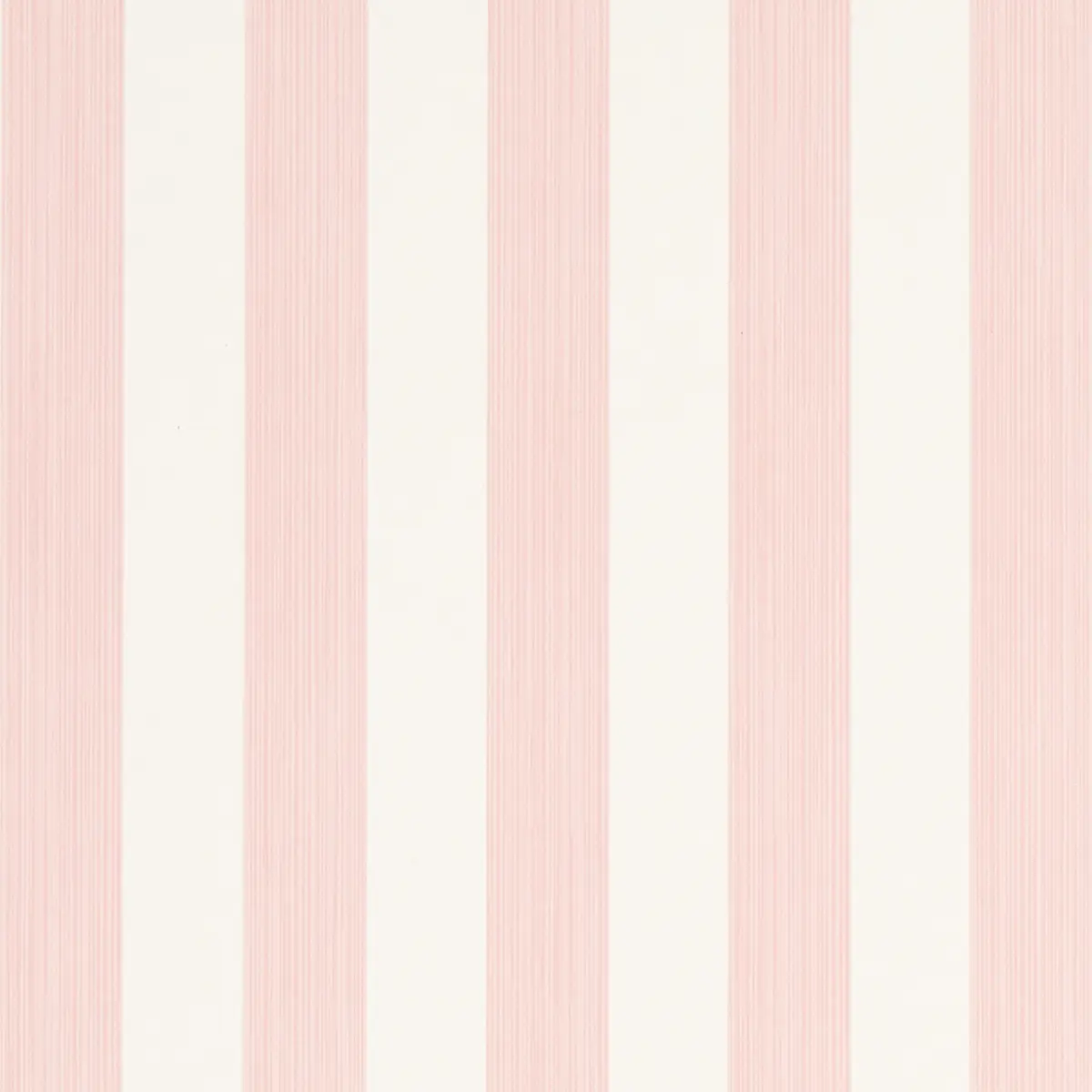 EDWIN STRIPE MEDIUM_ PETAL