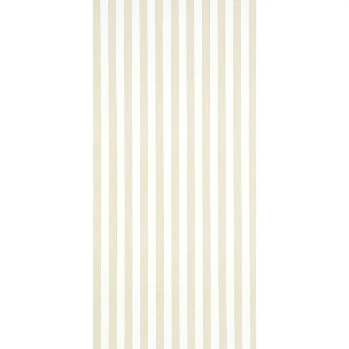 EDWIN STRIPE MEDIUM_ STRAW